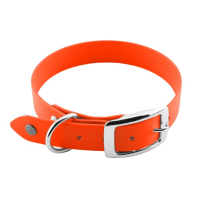 Lennie Equipment - Halsband 2,5cm mit Dornschnalle aus...