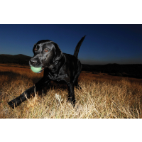 Chuckit Max Glow Ball XL - ø 9 cm
