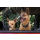 ID TAG - Spotted! Pro Hund & Katze S