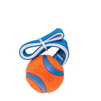 Chuckit Ultra Tug L  ca. 7cm