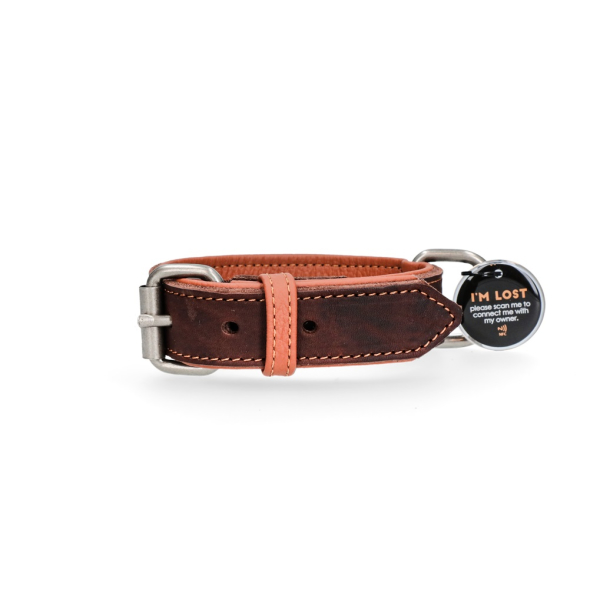 Lederhalsband Braun mit Spotted! Pro Tag 40 x 2,5 cm