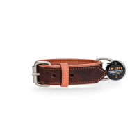 Lederhalsband Braun mit Spotted! Pro Tag 45 x 2,5 cm