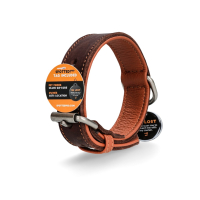 Lederhalsband Braun mit Spotted! Pro Tag 45 x 2,5 cm