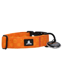 Halsband Orange mit Spotted! Pro Tag S - 40cm