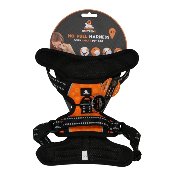 Spotted! PRO Geschirr Orange L