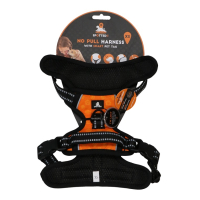 Spotted! PRO Geschirr Orange L
