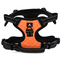 Spotted! PRO Geschirr Orange L