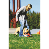 Chuckit Kick Fetch S