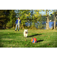 Chuckit Kick Fetch S