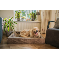 Lounge-Hundebett L
