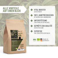 REAVET - Hanf Wohlfühl Sticks 500g