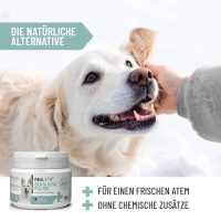 REAVET - Denta Vital Pulver 80g